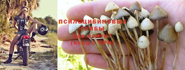 прущая мука Михайловск